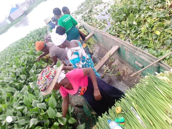 Coopérative Togblé Tognon