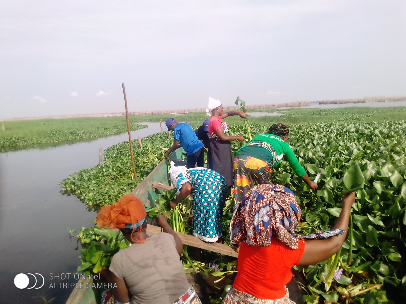 Coopérative Togblé Tognon